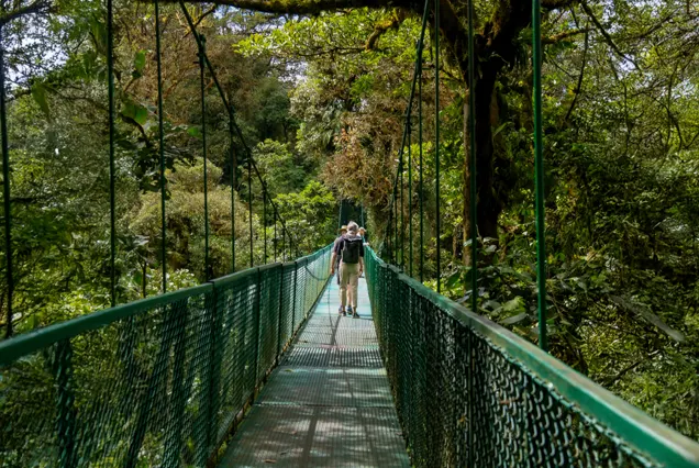 Hanging Bridges Monteverde