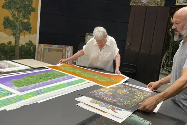 Local art galleries tour in the mountain community of Monteverde, Costa Rica