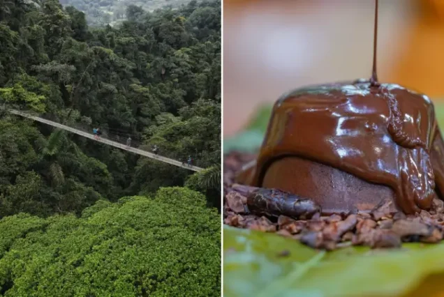 Sweet Adventure: La Fortuna Waterfall + Arenal Volcano Hike + Chocolate Tour