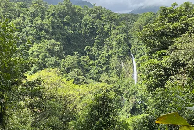 La Fortuna waterfall in a vast and lush tropical rainforest in Costa Rica
