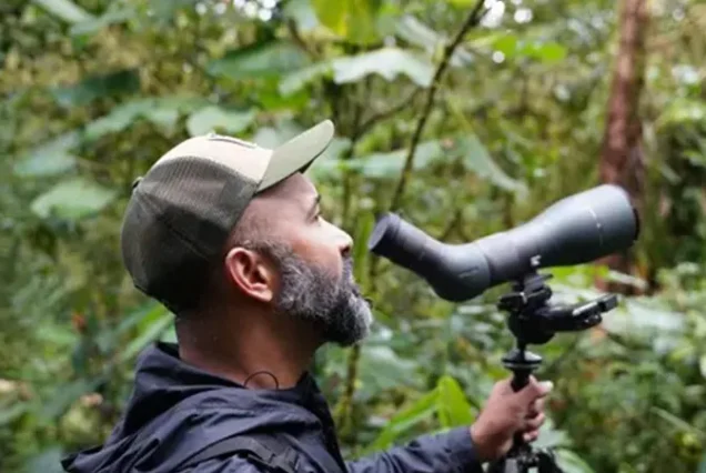 Birdwatching in the Monteverde cloud forest with a naturalist guide