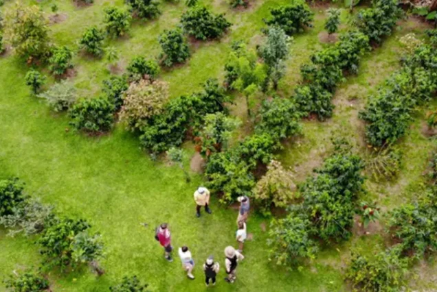 Coffee plantation tour in the lush countryside of La Fortuna, Costa Rica