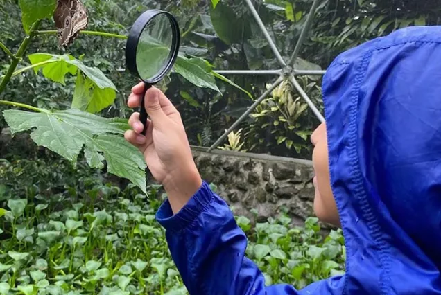 Nature guide observing a butterfly in the Costa Rica rainforest