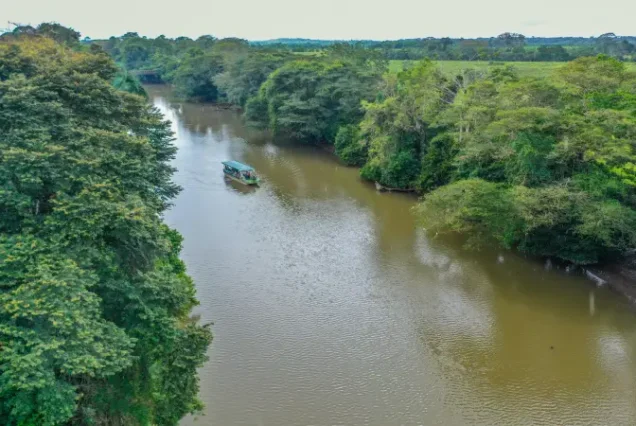 Unique Caño Negro Boat Tour