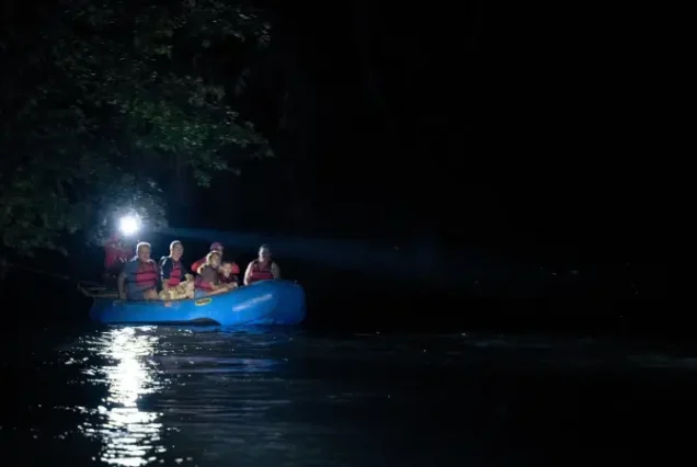 Twilight Wildlife Safari
