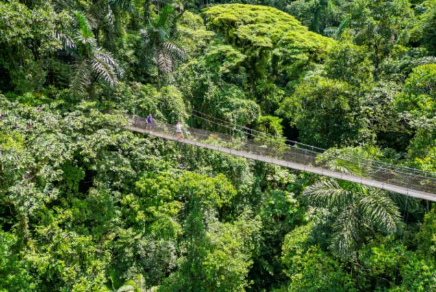 Hanging Bridges Tour