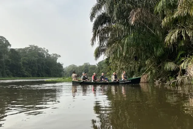 Wildlife spotting by boat on the canals of Tortuguero National Park with a naturalist guide